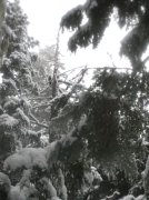 Ghost Ridge-Twin Lakes 047 